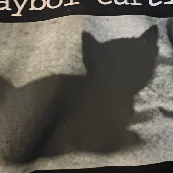 Playboi Carti cat hoodie - Picture 2 of 4